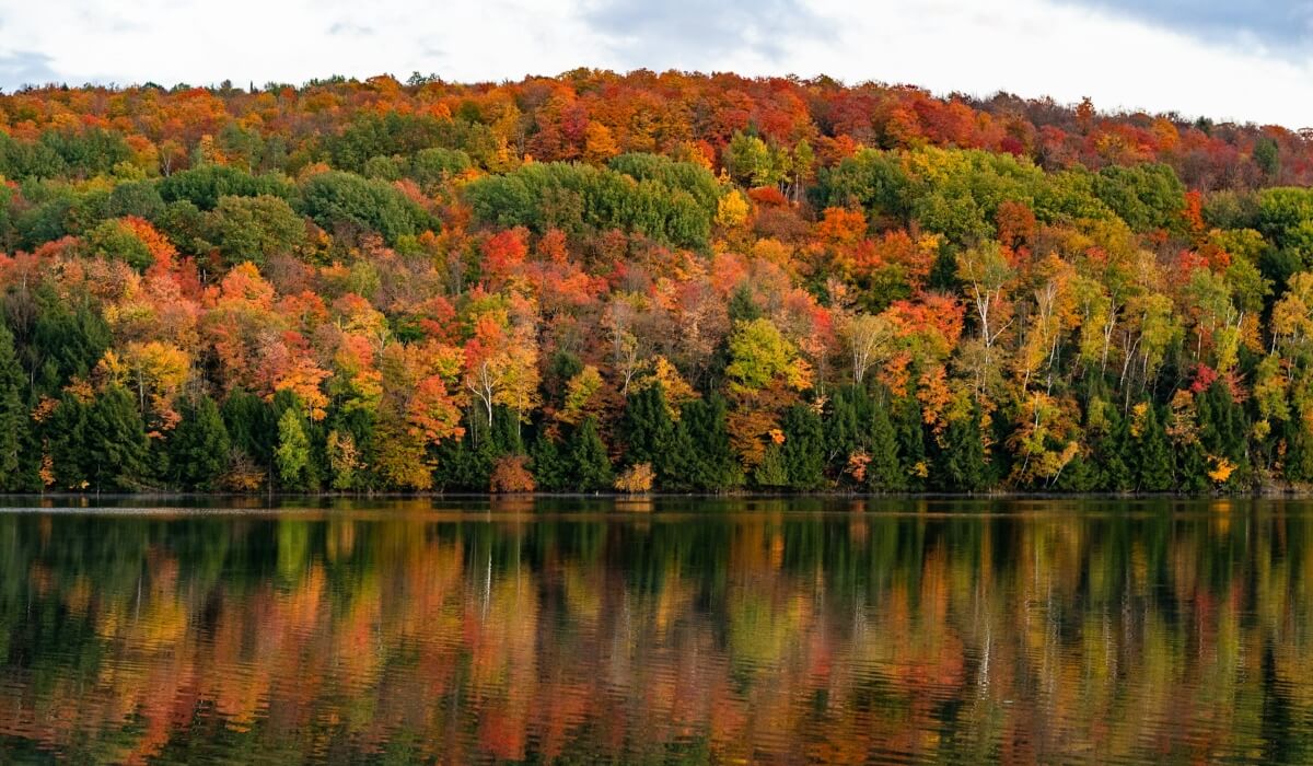 Discover the Magic of Vermont: A Guide to the Enchanting Green Mountain State