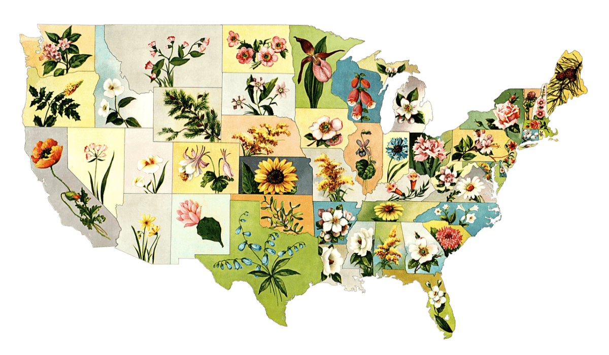 Exploring the Hidden Gems of United States Geography